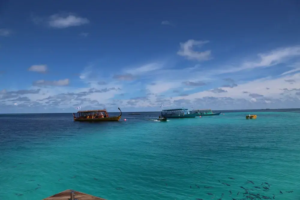 A diver dies recovering four Italian tourists missing in an underwater cave in the Maldives.