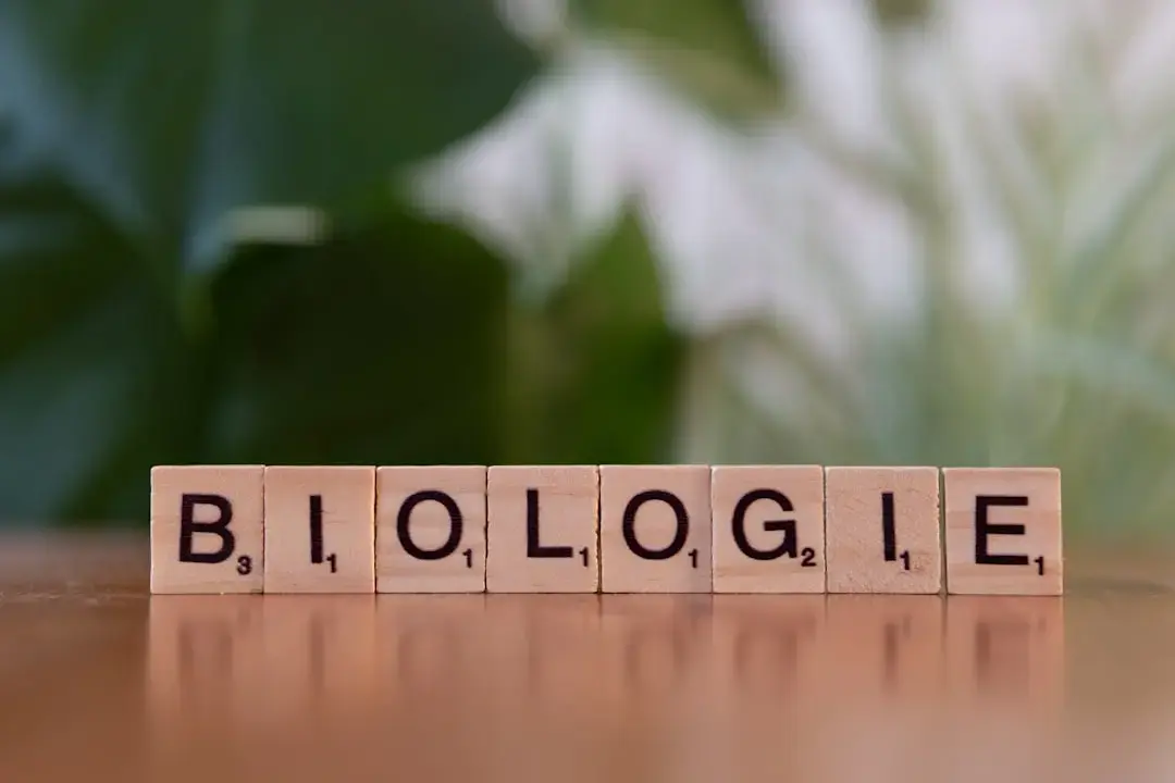 Biological Aging Begins Long Before We Are Born