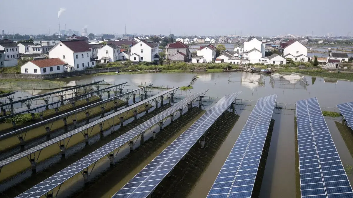 China's Green Technology Exports See Significant Rise