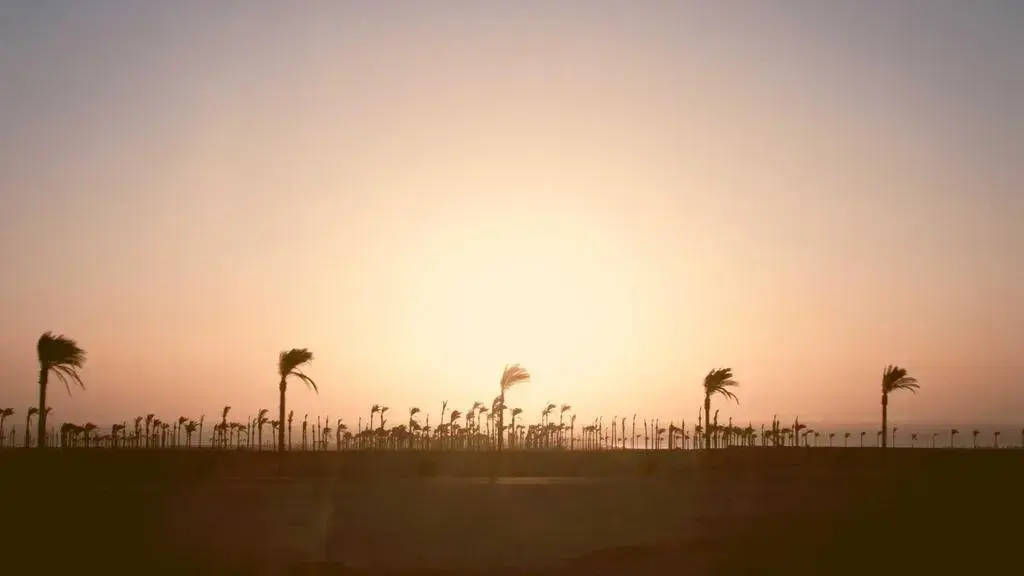French Environment Minister Quits Over Pesticide Bill
