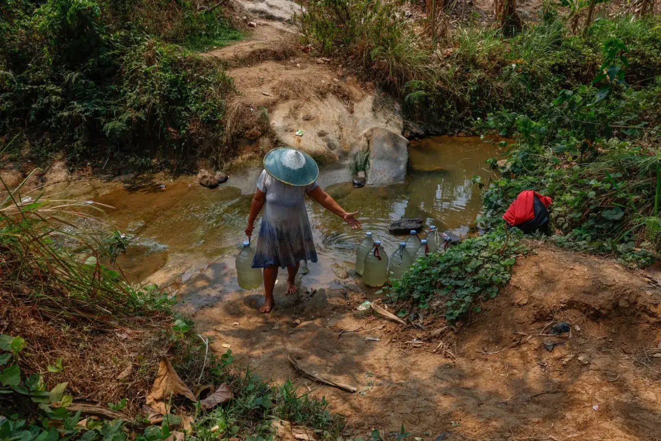 El Niño Heatwave May Cause Half a Million Deaths by February