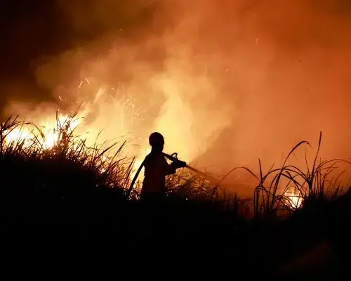El Niño Hits Record Heat Levels Months Before Expected Peak