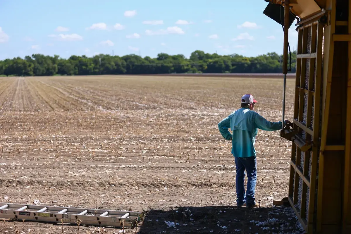 Mysterious Kidney Disease Strikes Healthy Young Men in Texas