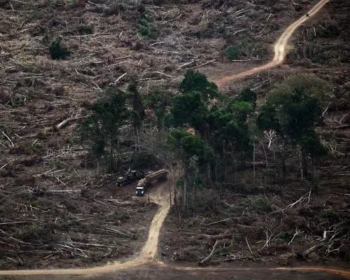 Earth's Vital Life Support Systems Severely Compromised, Scientists Warn